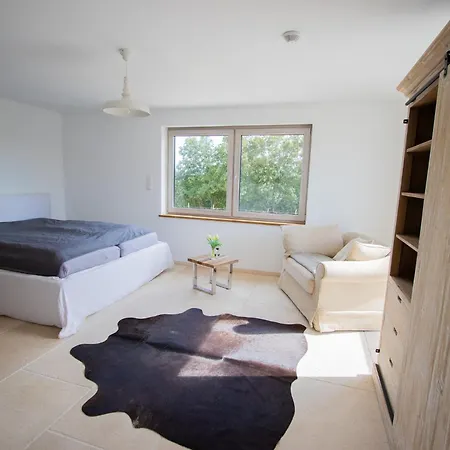 Ferien Auf Dem Pferdehof Hulben