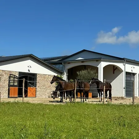 منتزه العطل Ferien Auf Dem Pferdehof Hulben