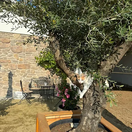 Ferien Auf Dem Pferdehof منتزه العطل *