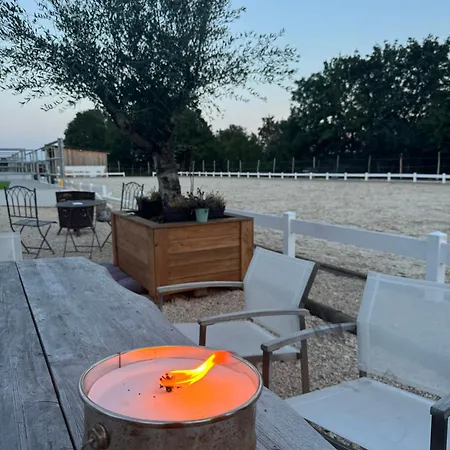 Ferien Auf Dem Pferdehof * Hulben