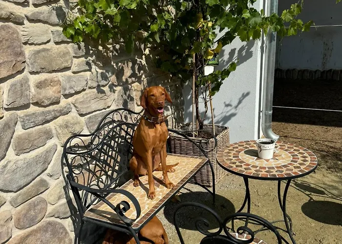 Üdülőpark Ferien Auf Dem Pferdehof