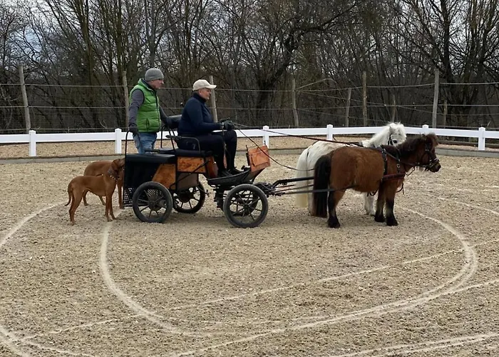 Üdülőpark Ferien Auf Dem Pferdehof